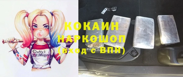 крисы Абаза