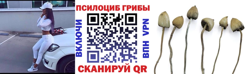 Галлюциногенные грибы Magic Shrooms  Советская Гавань 